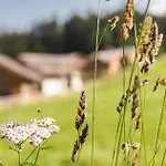 Lerchpeuntgut Alpenfreud *