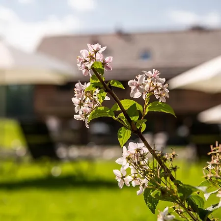 Lerchpeuntgut Alpenfreud