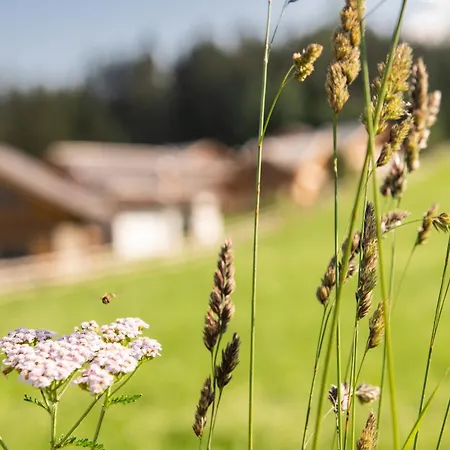 Lerchpeuntgut Alpenfreud *
