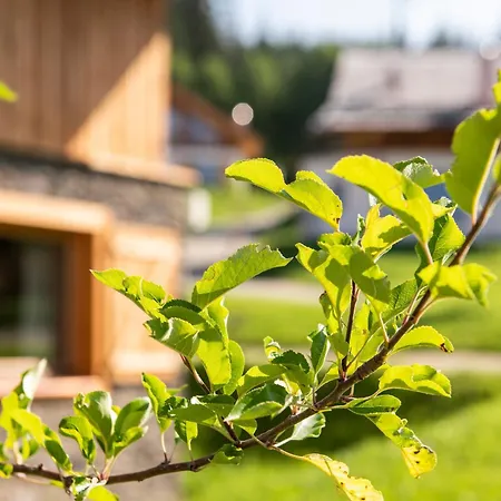 Lerchpeuntgut Alpenfreud تامسويغ