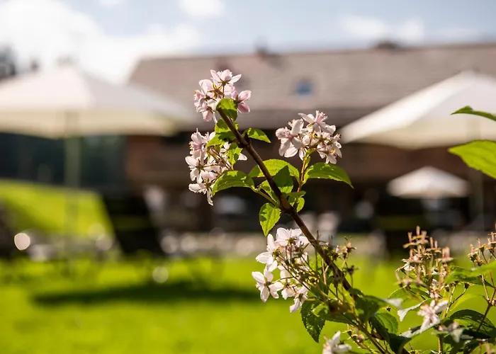 Lerchpeuntgut Alpenfreud