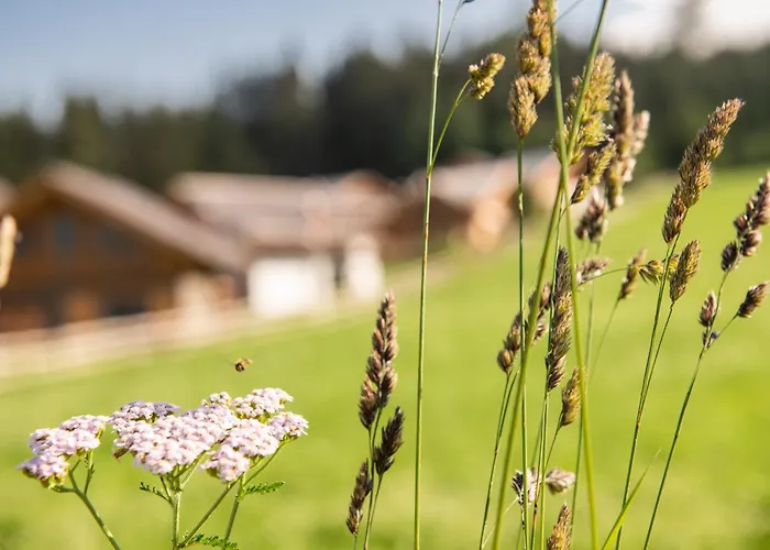 Lerchpeuntgut Alpenfreud *